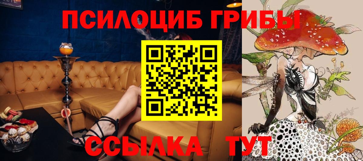 Узловая  как найти закладки  Вход с VPN  Псилоцибиновые грибы Cubensis 